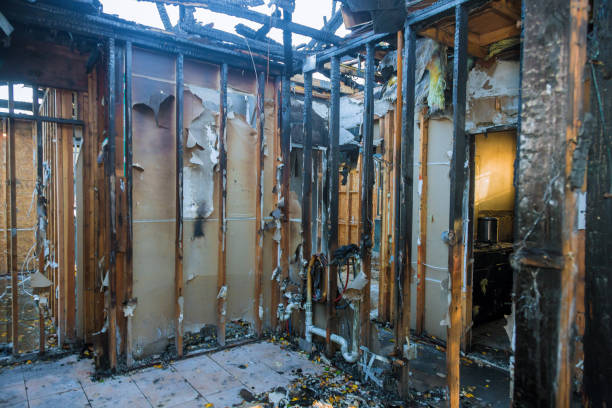 Professional Soot Cleanup technician working in Morton, PA